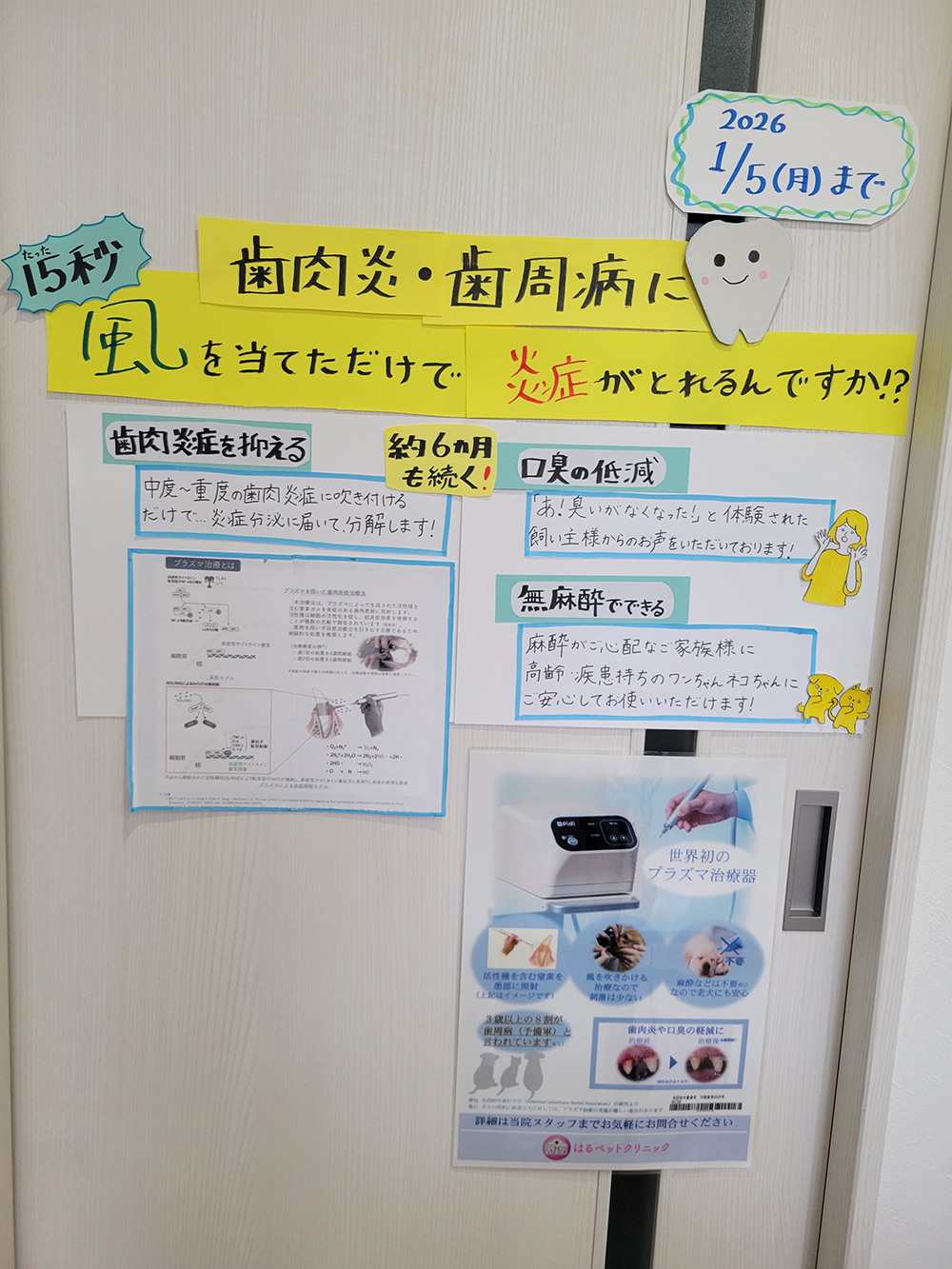 お口のトラブルでお悩みの皆さまに、画期的な企画です!!