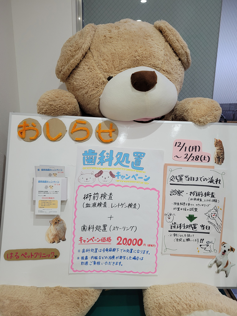 お口のトラブルでお悩みの皆さまに、画期的な企画です!!