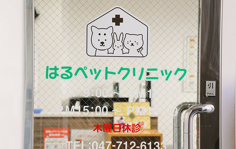 診察までの流れ