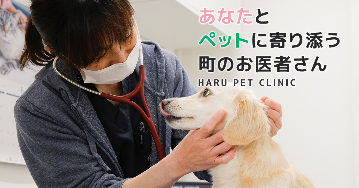 はるペットクリニックの外観