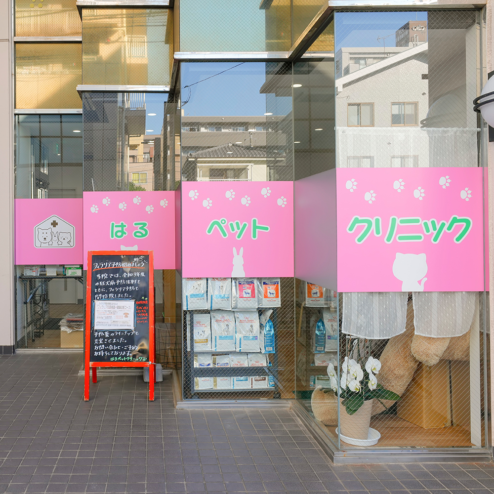 ごあいさつ
